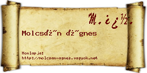 Molcsán Ágnes névjegykártya