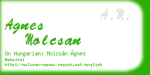 agnes molcsan business card